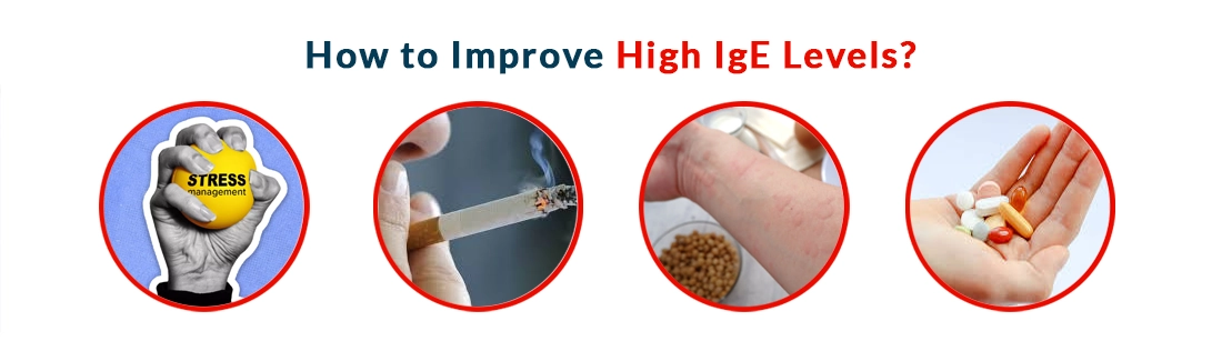 How to Improve High IgE Levels